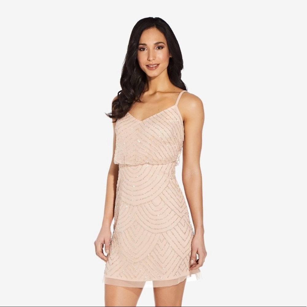Adrianna Papell Blush Blouson Beaded Dress SZ 6